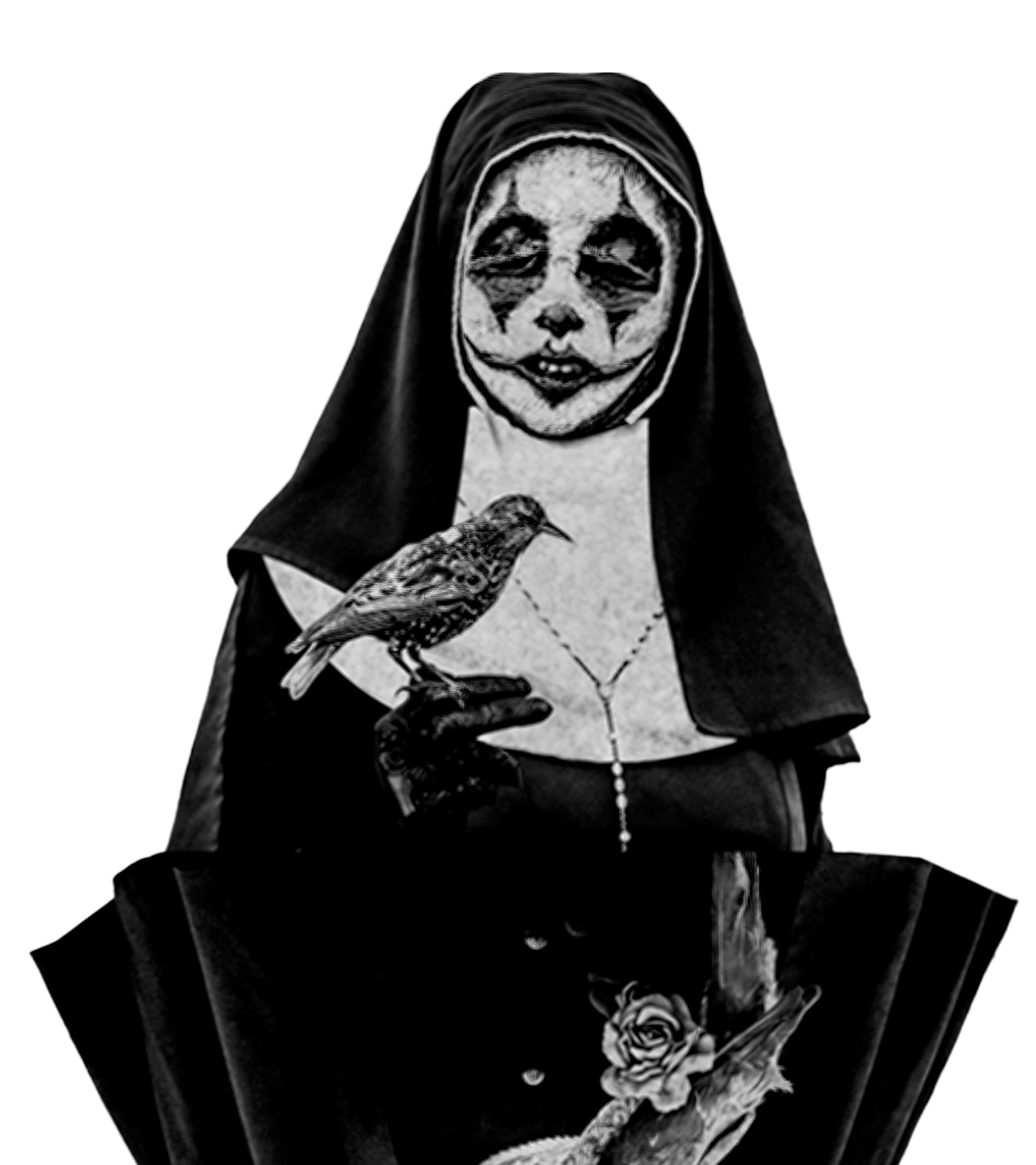 Mothmeister